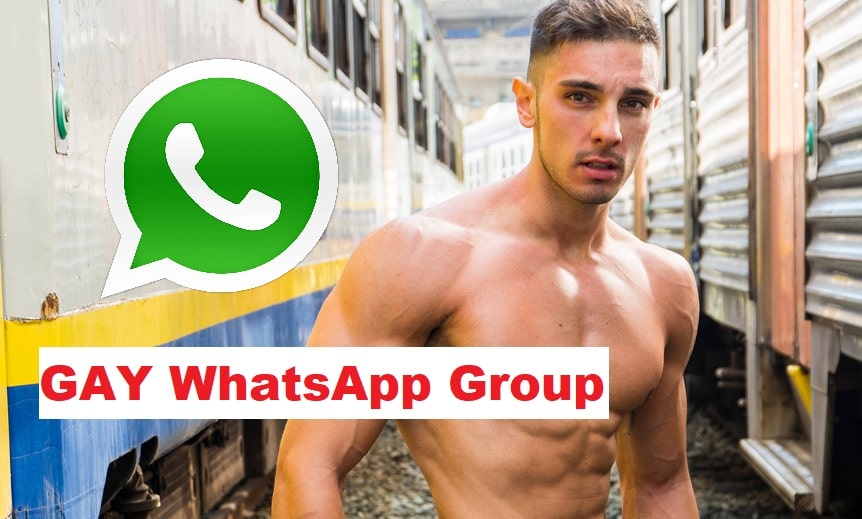 Whatsapp group chat gay Gays groups